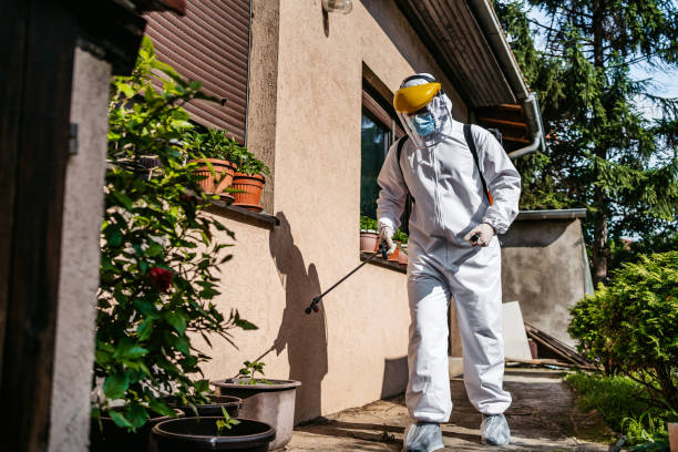 Best Affordable Pest Control Services  in Thornville, OH