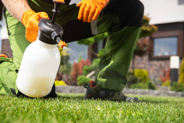 Wasp Removal Services in Thornville, OH