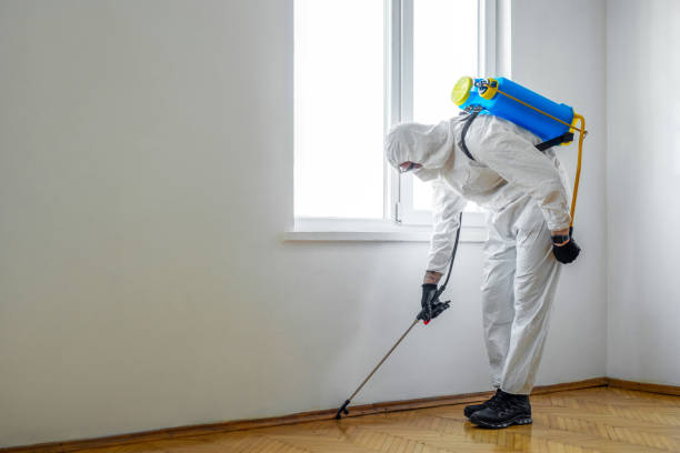 Best Exterminator Services  in Thornville, OH