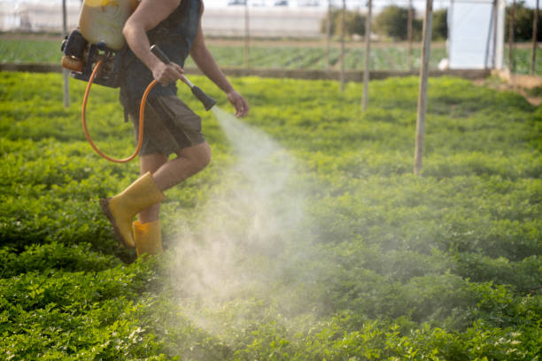 Best Ant Control Services  in Thornville, OH