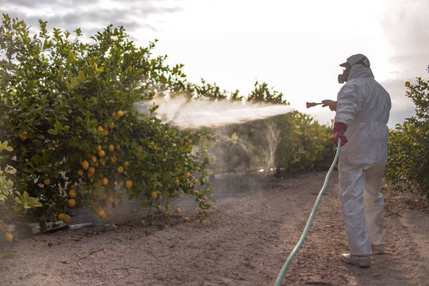 Best Affordable Pest Control Services  in Thornville, OH