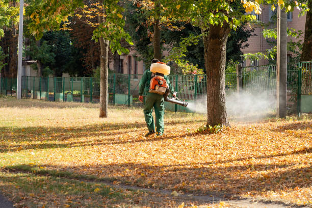 Best Rat Extermination Near Me  in Thornville, OH