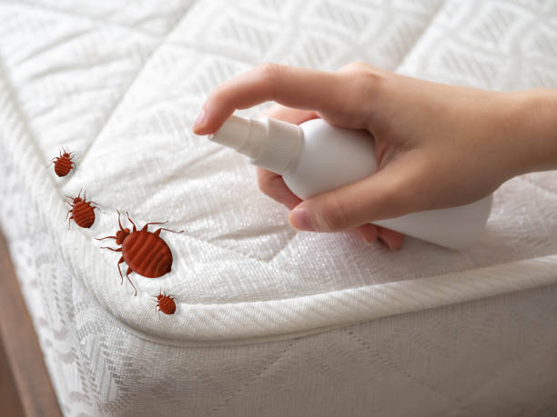 Best Pest Inspection Near Me  in Thornville, OH
