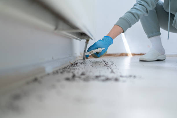 Best Mosquito Control Services  in Thornville, OH